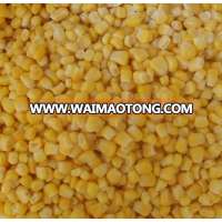 Frozen baby corn and iqf sweet corn