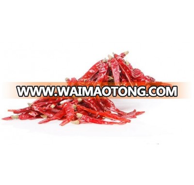 dry red hot chilli pepper bird's eye chilli small red chili