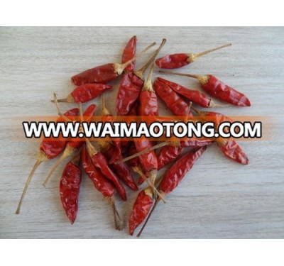 China's shandong province, the best dry chili/dry red pepper, bird eye chili