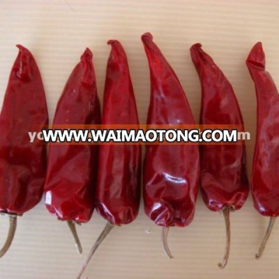 China Dried Chilli