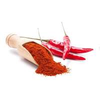 Chili pepper dried red chili hot spicy wholesale new fresh dried red chili